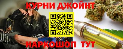 дмт Кингисепп