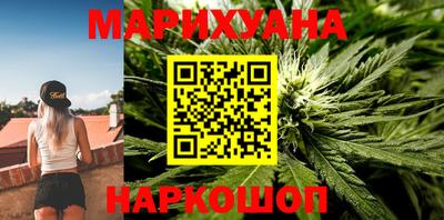 дмт Кингисепп