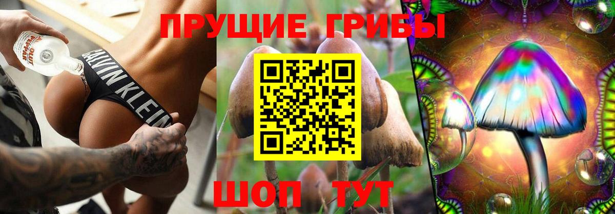 Псилоцибиновые грибы мицелий  Псилоцибиновые грибы MAGIC MUSHROOMS  Вход с VPN  Кохма 