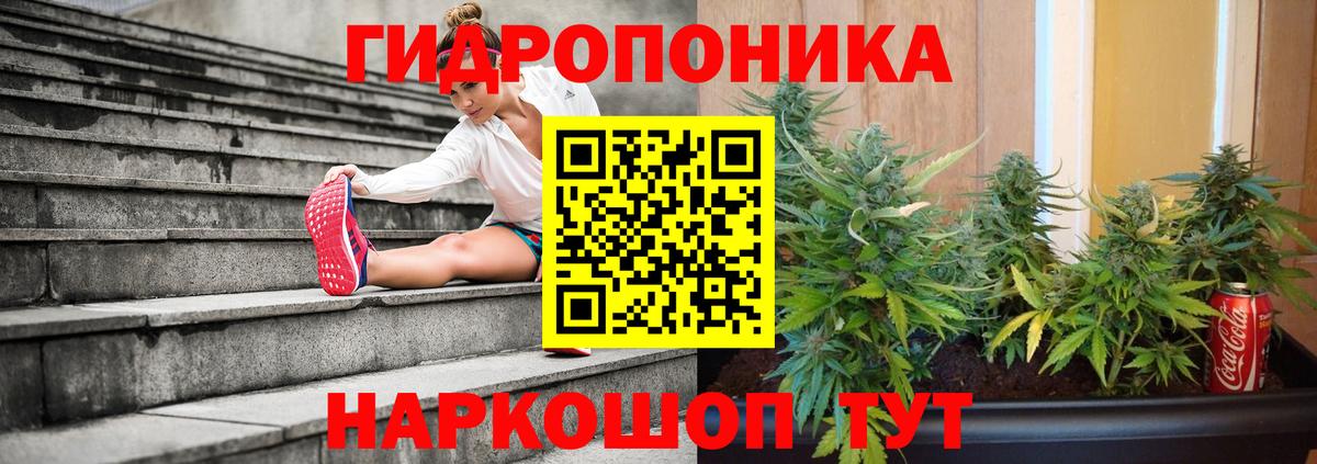 Каннабис White Widow  Бошки Шишки тримм  Вход с VPN  Канабис OG Kush  Кохма 